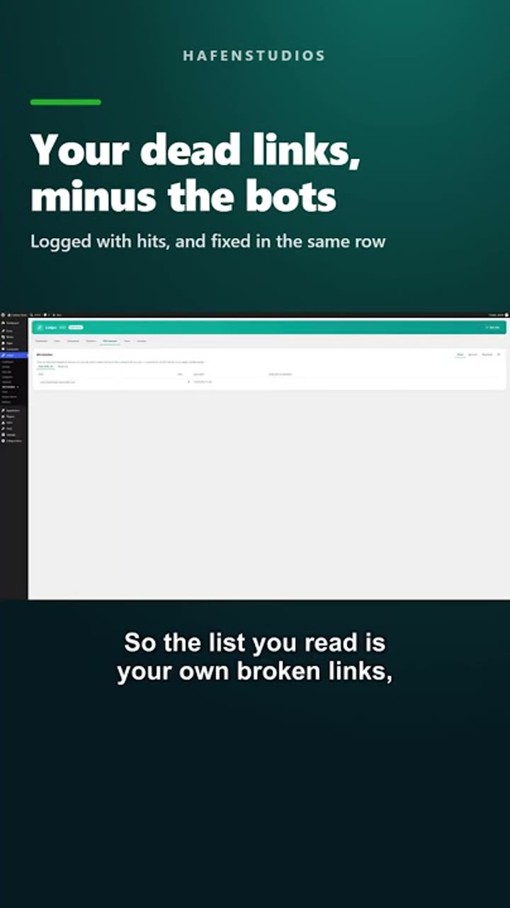 Short: the Linkjet 404 monitor in WordPress, real dead links listed apart from bot noise